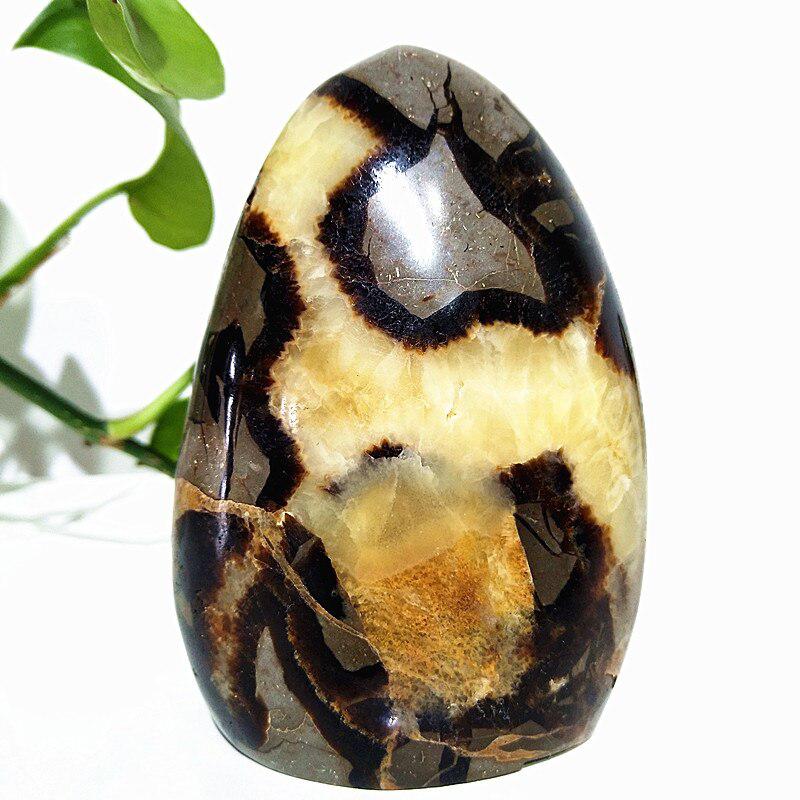 Septarian Egg Crystal Freeform