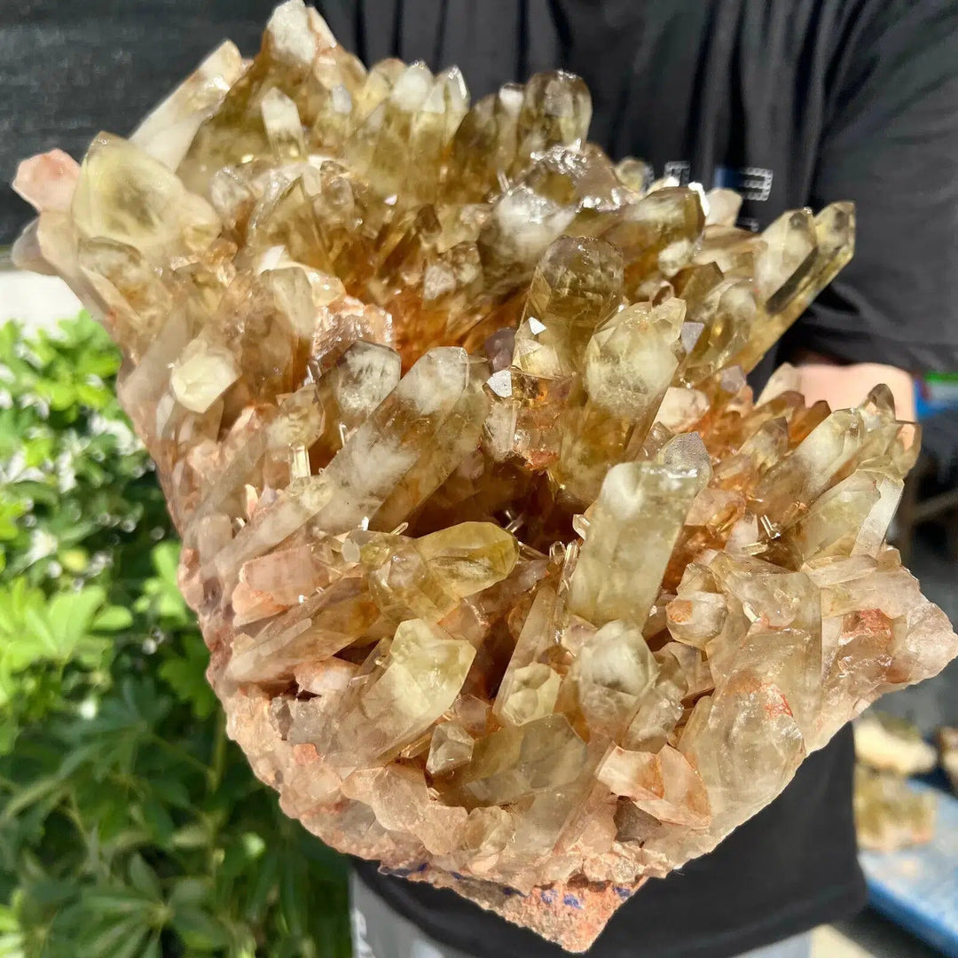 Smokey Quartz Citrine Cluster