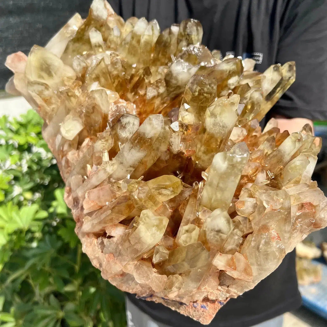 Smokey Quartz Citrine Cluster