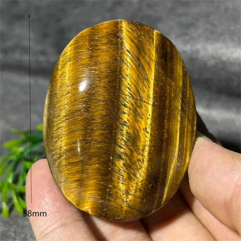 Tiger Eye Palm Stone