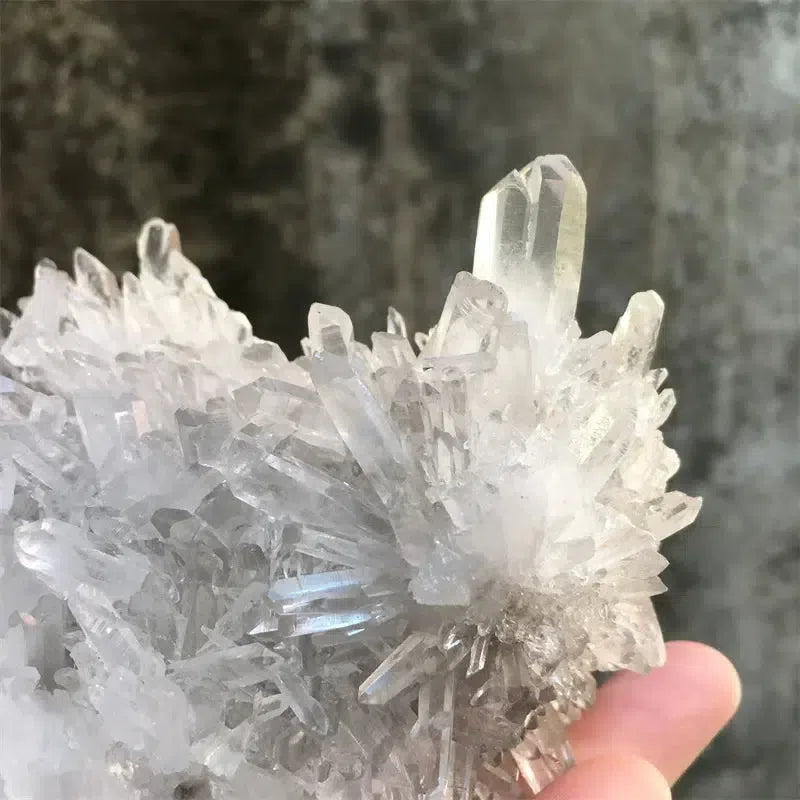 Unique Natural Chrysanthemum Quartz Cluster