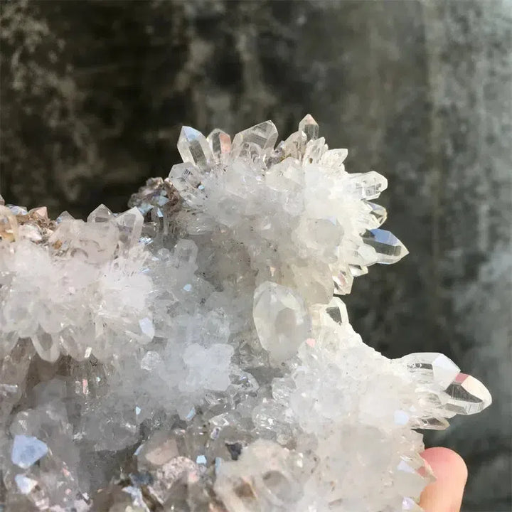 Unique Natural Chrysanthemum Quartz Cluster