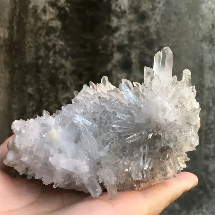 Unique Natural Chrysanthemum Quartz Cluster