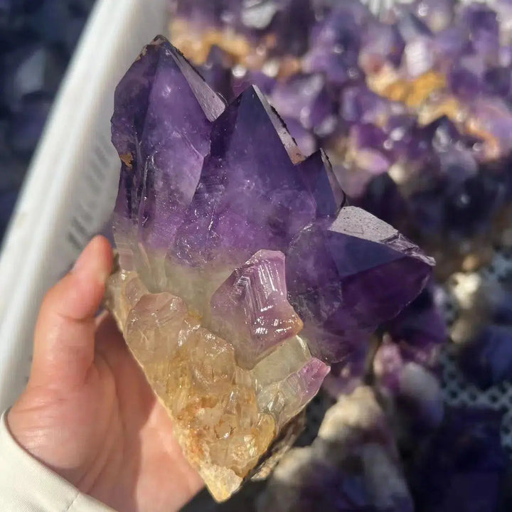 Uruguay Amethyst Cluster