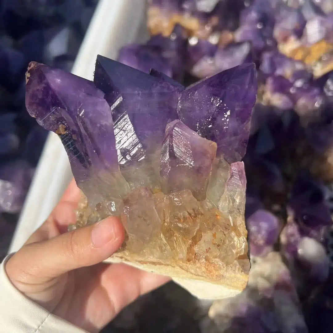 Uruguay Amethyst Cluster