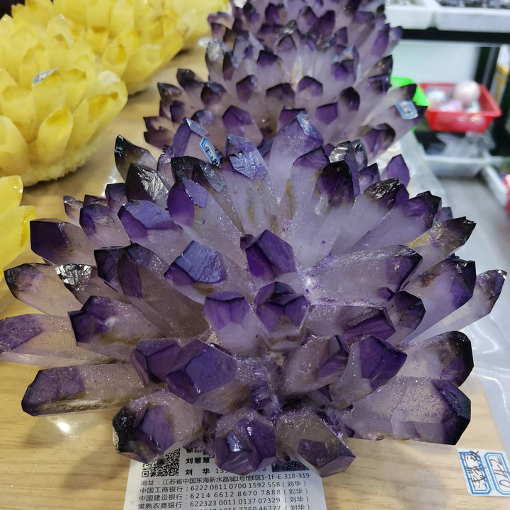 Violet Ghost Quartz Crystal Cluster