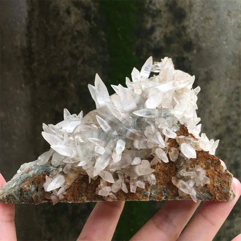 White Dogtooth Calcite Cluster UV Reactive